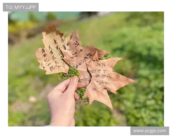 大梦归：一场关于遗忘与重逢的温柔絮语